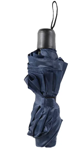 umbrella 1.webp