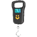 portable scale.webp