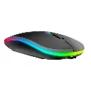 Wireless and Bluetooth Mouse