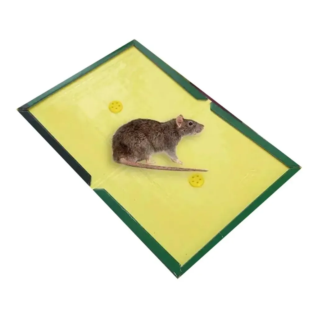 Mouse Glue Trap